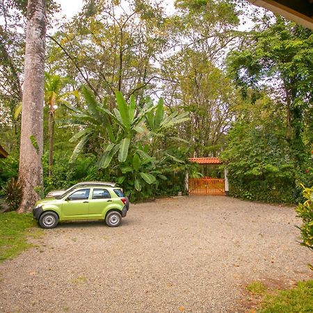 Hotel Casa Merlin Puerto Viejo de Talamanca Buitenkant foto