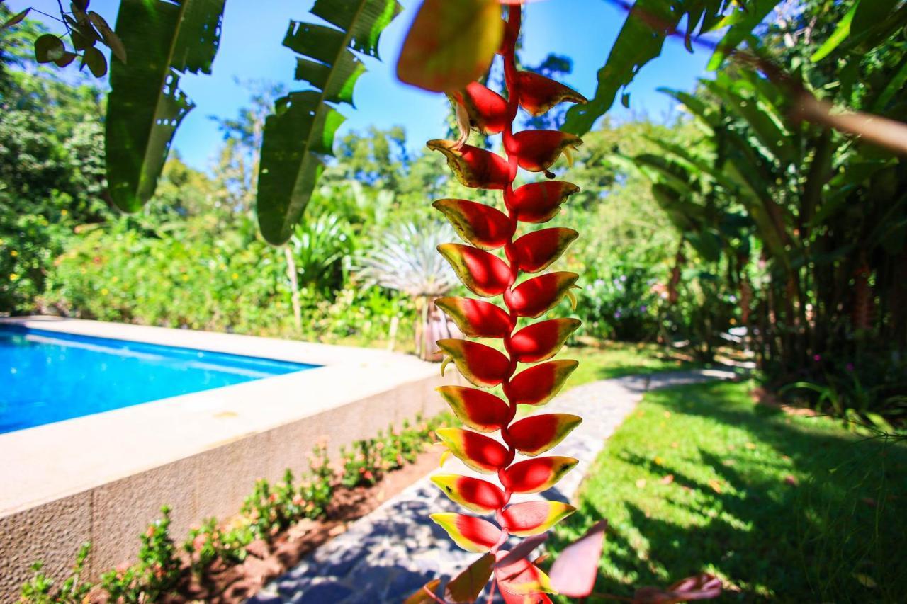 Hotel Casa Merlin Puerto Viejo de Talamanca Buitenkant foto